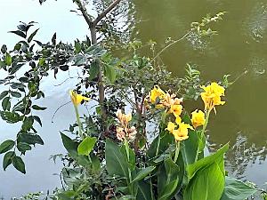 KUNMING - Parc Daguan - 85